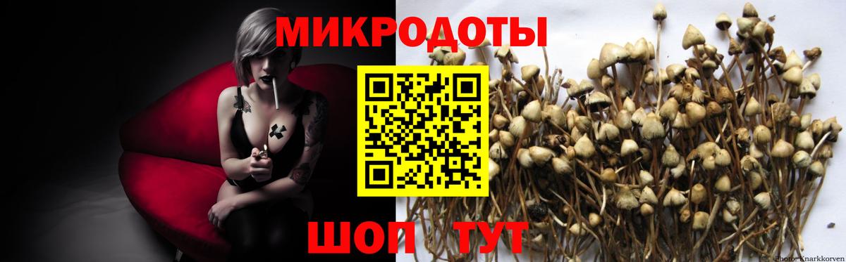 Галлюциногенные грибы прущие грибы  даркнет сайт  Гагарин  Вход с VPN 